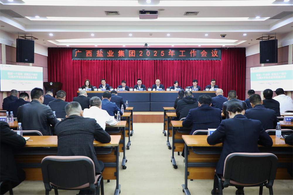 广西Z6尊龙凯时集团召开2025年工作会议